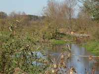 Imgp5015