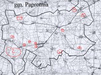 Paprotnia-czajka