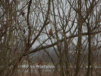 Imgp5028