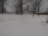 Pc181361