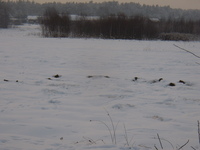 Pc181365