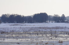 Imgp0105