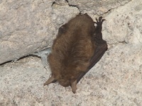 Dscf8120