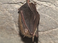 Dscf8121