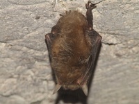 Dscf8122