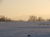 Dscf5982