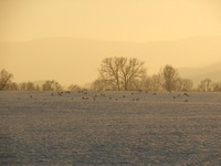 Dscf5978