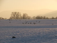 Dscf5980