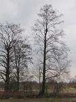 Skrzynka_001