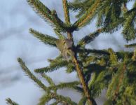 Imgp0105