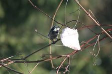 Zima_3_2011_002