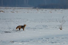 Dsc_0066bbbbbb