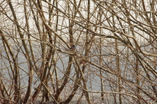 Imgp0815