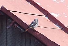Dscf8789