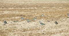 Dscf9201