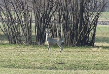 Dscf9269