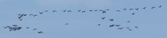 14-04-2011_024