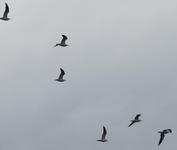 14-04-2011_008