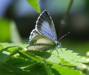 Dscf9955