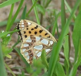 Dscf0143