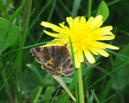 Dscf0389