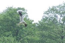 Dscf0435