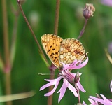 Dscf0751