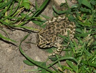 Dscf0644