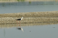 Csc_0064