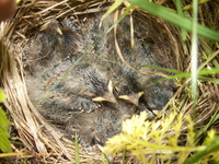 Pict0085