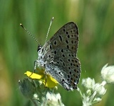 Dscf0657