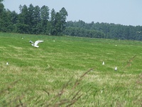 Dscf0769