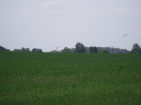Dscf0081