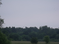 Dscf6042