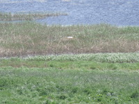 Dscf0076