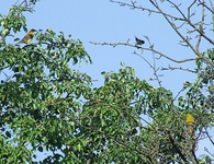 Dscf0897