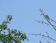 Dscf0902