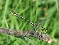 Dscf0921