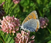 Dscf0945
