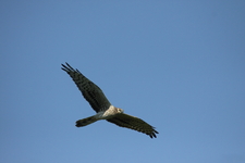 Img_1660