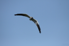 Img_1699
