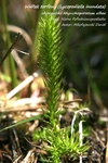 Is_img_5641