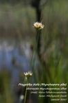 Is_img_5620