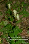 Is_img_0047
