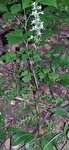 Dscf0935