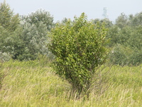 Pict0075