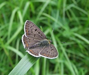 Dscf2051
