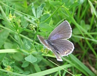 Dscf2083