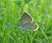 Dscf2086