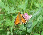 Dscf2012